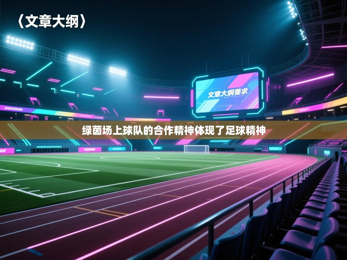 绿茵场上球队的合作精神体现了足球精神  第1张