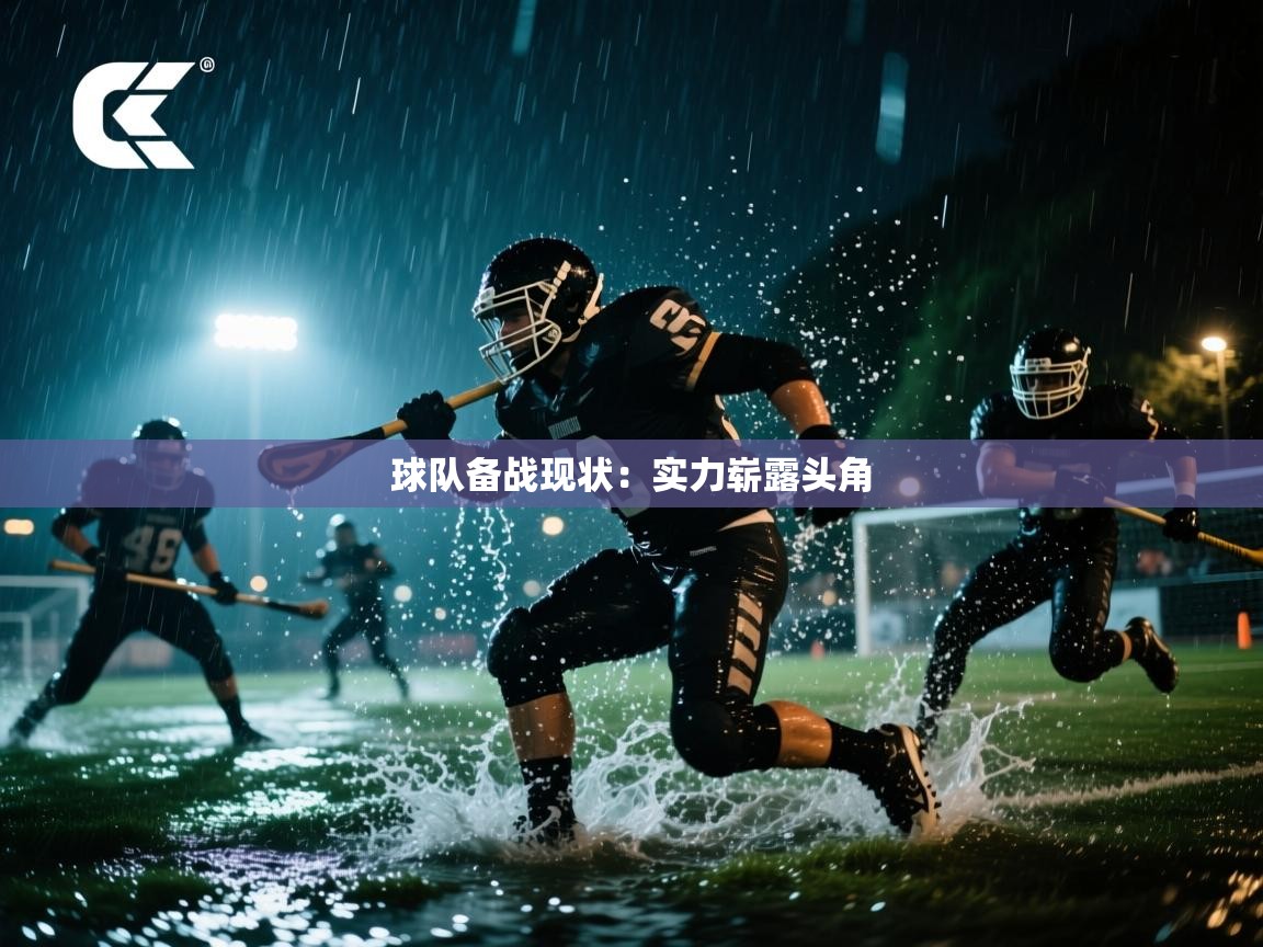 球队备战现状：实力崭露头角  第1张