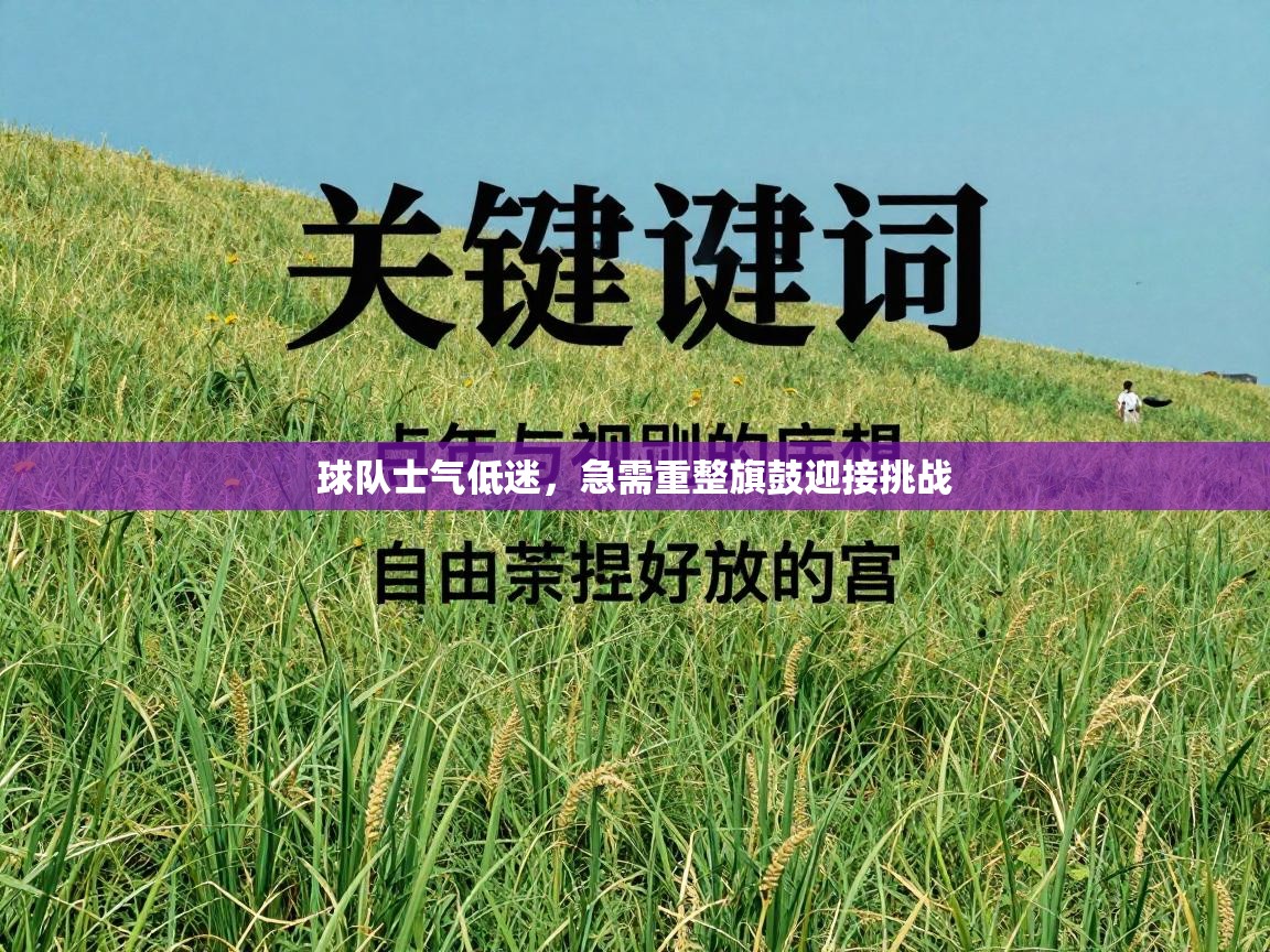 球队士气低迷，急需重整旗鼓迎接挑战  第1张