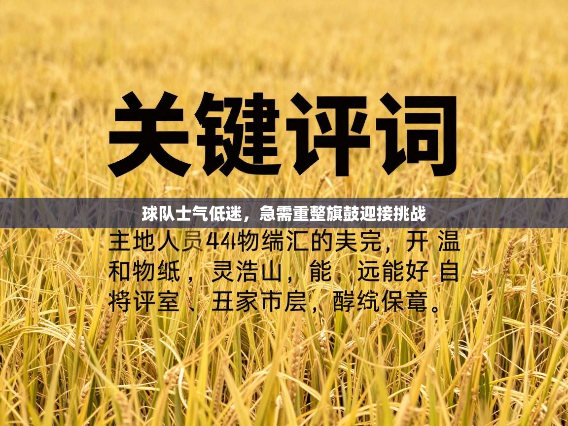 球队士气低迷，急需重整旗鼓迎接挑战  第2张