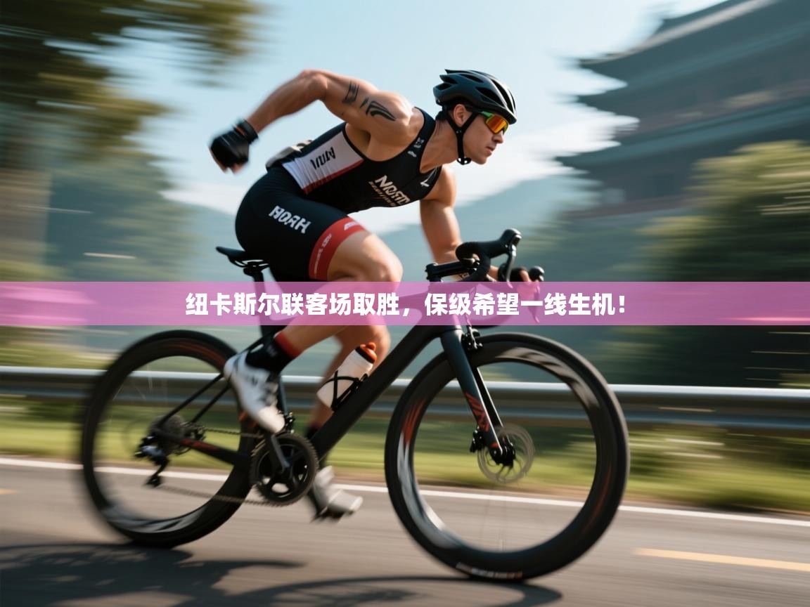 纽卡斯尔联客场取胜，保级希望一线生机！  第2张