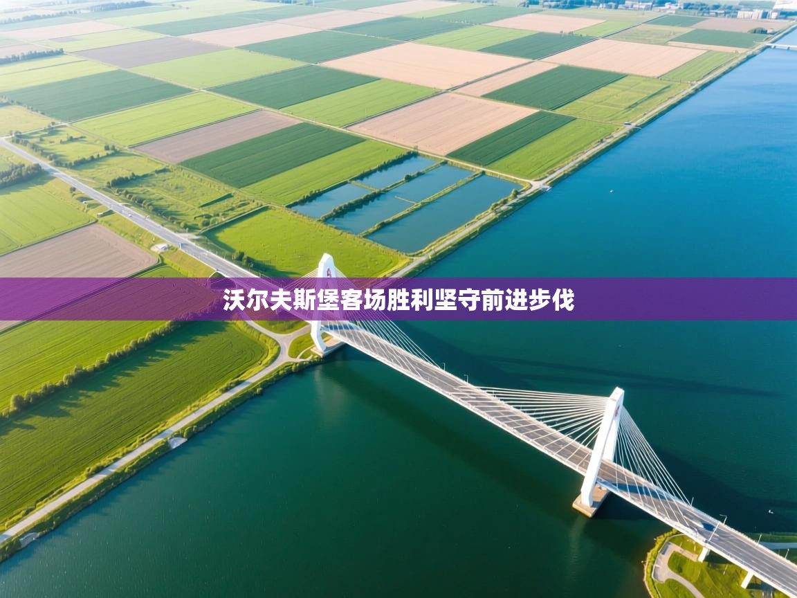 沃尔夫斯堡客场胜利坚守前进步伐  第1张