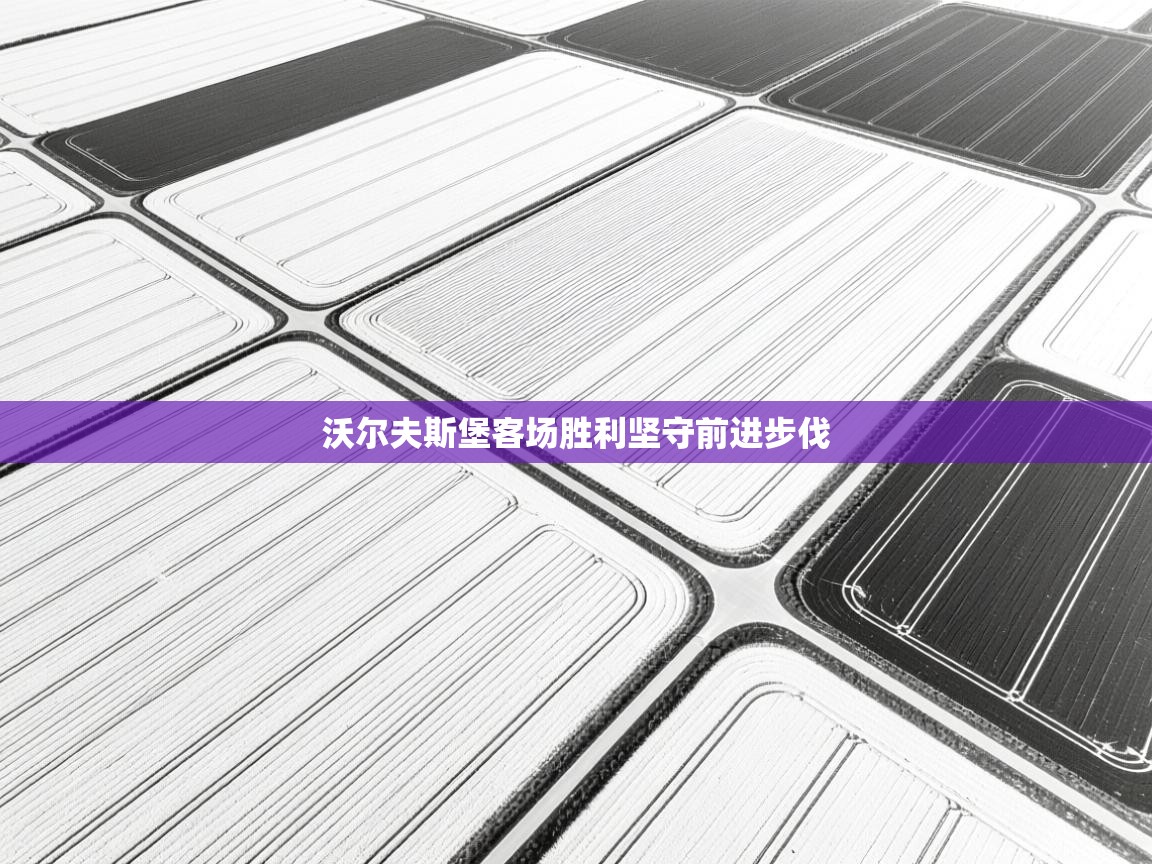 沃尔夫斯堡客场胜利坚守前进步伐  第2张